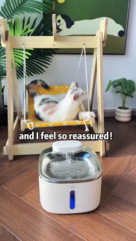 #cat #kitty #cats 