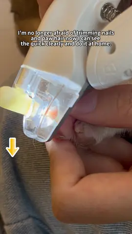 Best $15 I ever spent.I love a multifunctional tool !free shipping 🐾 #tiktokshop #dogsoftiktok #dogsoftiktok #doglover #PetsOfTikTok #doggrooming #nailclippers #light #hairtrimmer #rechargeable