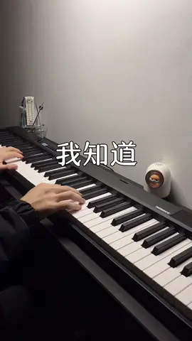“It was my overindulgence in myself, thinking you would understand.” | 《我知道》🎹 #terencepiano #FoldablePiano #PortablePiano #PianoTok #musiclover #pianocover #DigitalPiano #pianomusic #我知道 
