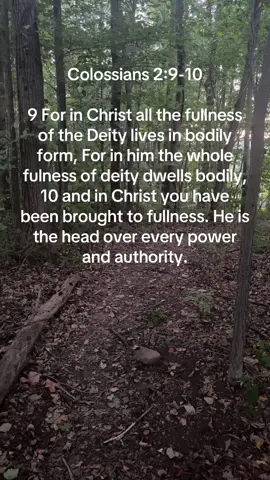 Because all the fullness of God is in Jesus, believers have everything they need for salvation and spiritual life in Him, not needing to seek it elsewhere or supplement it with human philosophies. #thedigitalchurch #thedigitalchurch2 #biblicalunderstanding 