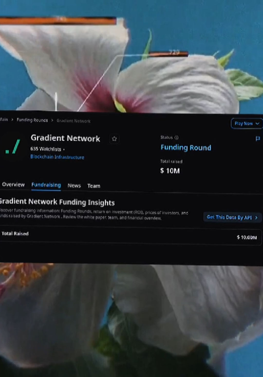 tinggal tunggu waktu aja gan ✌️ Airdrop Ini sudah sekitar 1 tahunan, harusnya sudah muncul hilal....😁 ✅ CEK Airdrop Terbaru Ditele ya gan 🚀 🔥 Airdrop Gradient 🔥 projek infrastruktur DePIN  -- kalo jepe jangan lupa sedekah dan traktir keluarga ✌️😆