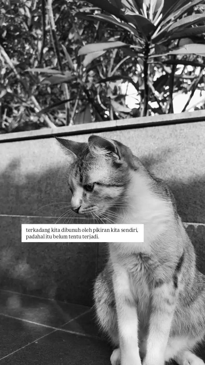 #4u #sadstory #fyp 