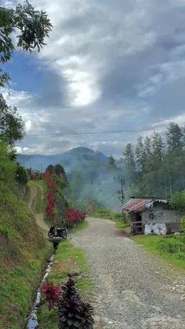 Suasana perkampungan #fyp#kampunghalaman#toraja 
