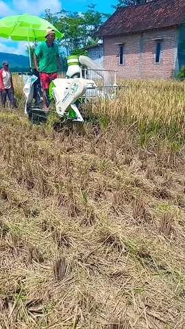 Kombi Mini Paling gesit #ptbhdsahabatparapetani #fyf #pyfツviral_❤ #tiktok #trending 