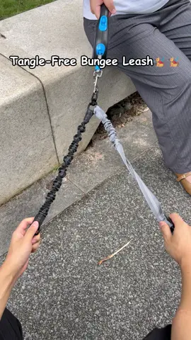 #dog #chihuahua #poodle#dachshund#yorkshireterrier#beagle#corgi#shibalnu#bulldog#dogsoftiktok #doglover #pet #pets #doghack #dogtok #dogwalking #dogmom #leash#dogproblems #twodogs #dualdogleash #petproducts#dealsforyoudays#tiktokshopbacktoschool#tiktokshop#petlovers #petproblems#tiktokshoplabordaysale #doubleretractableleash #DoubleDogLeash #DogWalkHack #AntiTangleLeash #ViralProduct