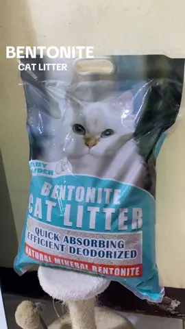 Clump it, dump it, love it 🐾✨ #BentoniteCatLitter