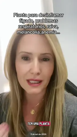 #anosatrás  A importância do hissopo na saúde e emocional  #hissopo #vaiprofy #vaiprafy #fypppppppppppppppppppppppppppppp 