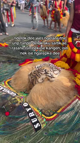 #suryogumelar #ponorogo24jam #foryoupage #reogponorogo #ponorogo_kota_reog 