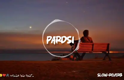 PARADISE | slow and reverb content full song | 90,s song  |  #foryou #slowedsongs #slowandreverb_song❤️ #indainsong #90smusic 