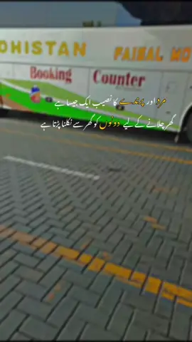 مرد اور پرندے کا نصیب ایک جیسا ہے گھر چلانے کے لیے دونوں کو گھر سے نکلنا پڑتا ہے 💯🥀🫵🏻 #unfrezzmyaccount #trending #foryoupage #fyp #viral 