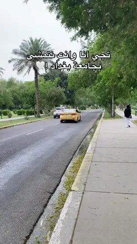 جامعة بغداد 💙❤️ #اكسبلور #جامعة_بغداد #عراق #جامعات #شعب_الصيني_ماله_حل😂😂 