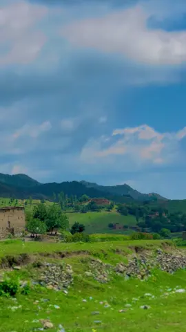 🥹💔🥀🌿#foryoupage #viralvideo #explorewaziristan #Explorewazirstan #sararoghaswtd 