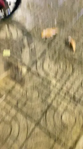 #xh 