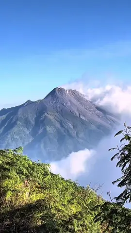info remidi gaess, merbabu indah kalo gk badai🗿 #merbabuviasuwanting #merbabu 