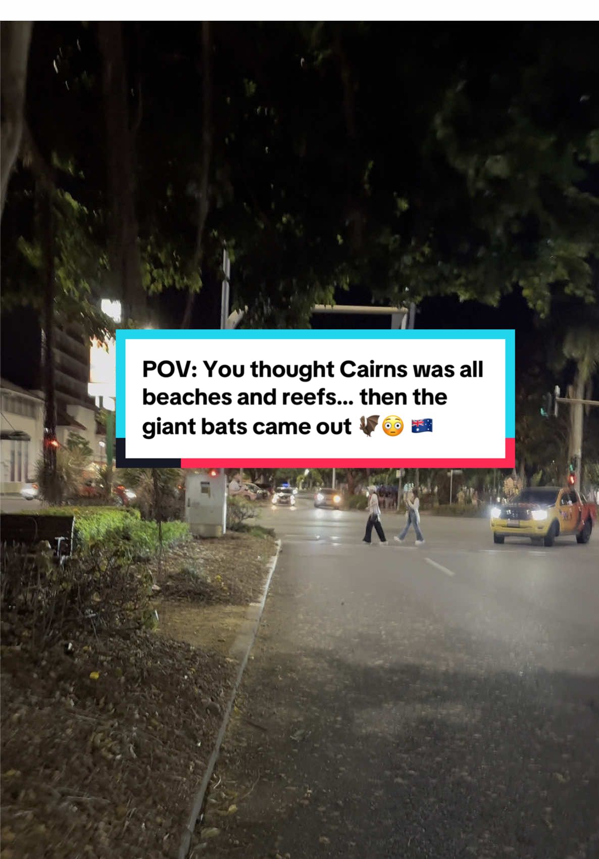 They sound like monkeys 🐒😳…happy spooky season from Australia I guess 🇦🇺😅 . . . . . #spookyseason #spookyszn #flyingfox #bats #cairns #wildlife #wildlifeonearth #livingwithbats #fruitbats #cairnsaustralia #australia🇦🇺 #australiatiktok #australiatiktok🇦🇺 #australiawildlife #australiaanimals 