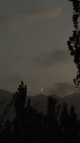 #Foryou #foryoupage #urdupoetry #viralvideo #viwsproblem 