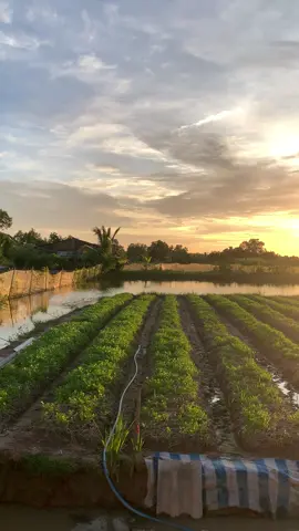 Lại xa nữa ròi 🥹#vĩnhchau 