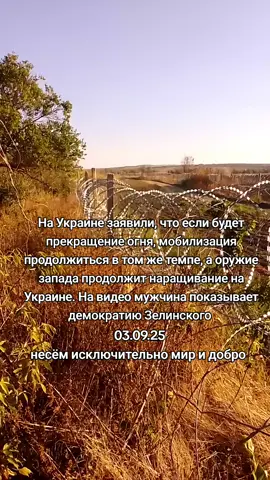 #беларусь🇧🇾 #россия #рекомендации #вреки #врекомендации 