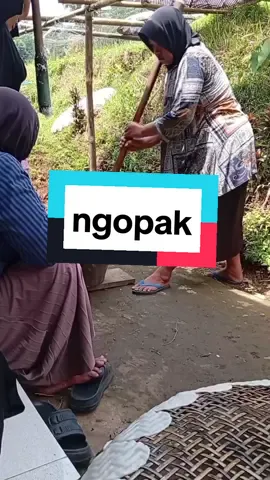 ngopak gaes#ngopak #sisop#fyp #sunda #opaktradisional#rame 