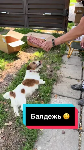 Балдежь 🤤