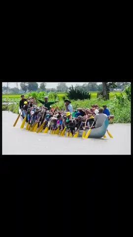 ghe ngo độc mộc prết trà cuôn thử tốc độ #duaghengo #duaghengosoctrang #ghengosoctrang #xuhuongtiktok #xhtiktok 
