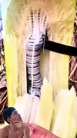 Não sabia que dava dinheiro 😳