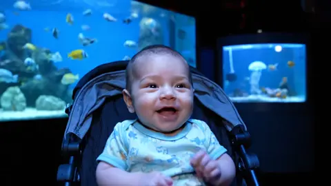 #babytalking #ai #fyp #aibaby 