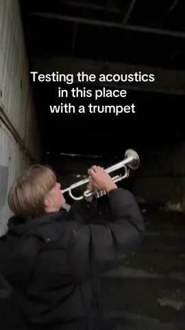 Shakira, shakira! . #music #producertok #hipsdontlie #trumpets #viral 