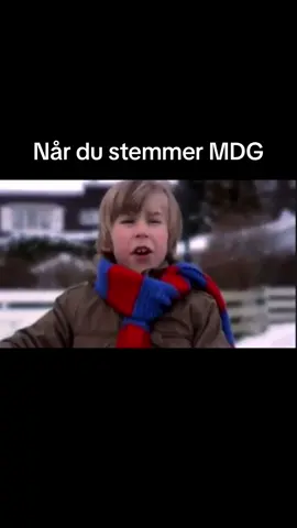 #miljøpartietdegrønne #valg #miljø #stemme #nårskhumor 