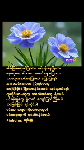 အမြဲပြုံးထားပါ ☺ #စာတိုphyu🌻 #foryou #fypシ゚ #ကျနော့်ရဲ့အရေးအသားတွေမှားခဲ့ရင်ဝေဖန်ထောက်ပြနိုင်ပါတယ်ရှင့်✍🏻 