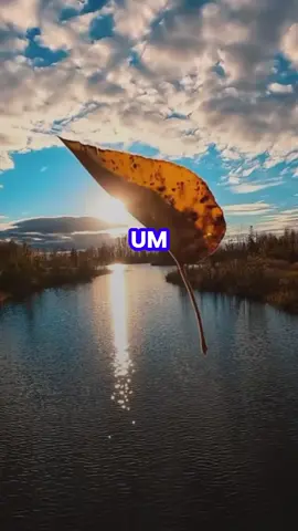 A verdade são coisas que poucos aceitam . #reflexaododia #foryou #viralvideo 