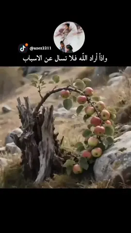 يارب انت الذي لا يعجزك شي فحقق كل ما نتمنا يارب#عزيز_الشمري🤍 #يارب_فوضت_امري_اليك 