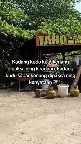 anak lanang kudu kuat ng segala keadaan #tarlingindramayu #tarlingindramayucirebon #indramayu #indramayureang #indramayupride🏴‍☠️🔥 