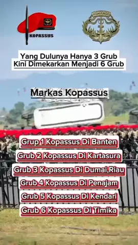 #fyp  #tentaraindonesia #tniindonesia🇮🇩  #tniad 