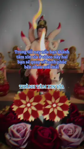 Chúc bạn xin viaa thành công #xinvia #nhavia #nyc #nycquaylai #ledotnen 