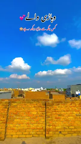 وہاڑی والے❤️❤️❤️#vehari #vehari_waly #foryou #viral #videoviral 