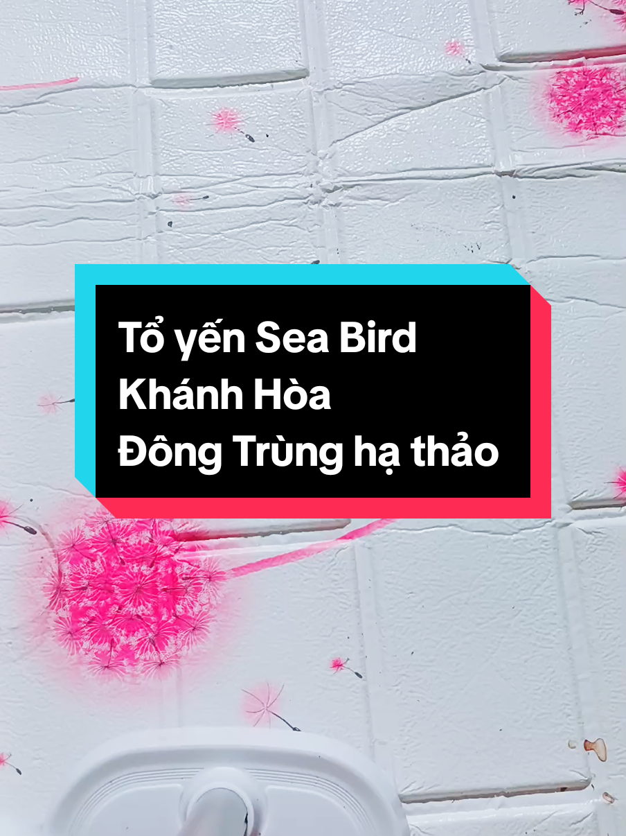 Tổ yến Khánh Hòa Sea Bird Đông Trùng Hạ Thảo tốt cho sức khỏe. 30% yên tươi nguyên chất. 1000mg/lít yến xào nguyên chất thủy phân. #hoaly9592  #xuhuong  #yensao  #vanthuanphat  #seabird @Hoa Lý 