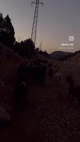 1 günlük rutin#trendingvideo #doğa #keşfet #tiktokviral 
