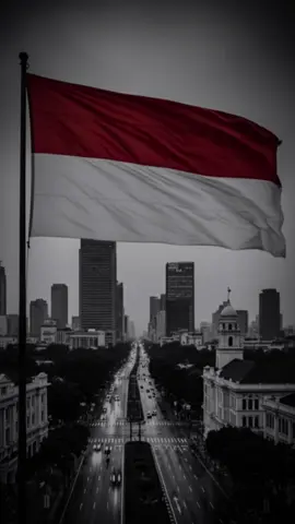 Lekas sembuh Indonesiaku #indonesia🇮🇩 #dpr #demo #demodpr #indonesian #ojol #gojek #brimob #polisi #nkri #demohariini #jakarta 