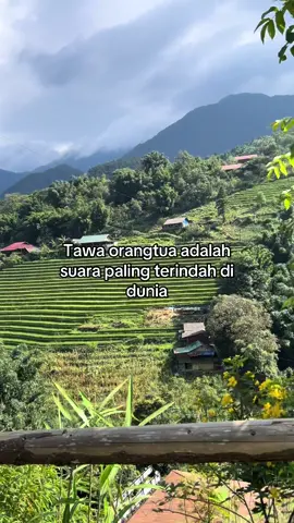 Senyum tawamu adalah obat terampuh #umak#ayah#storybatak#bataktiktok #halakkita 