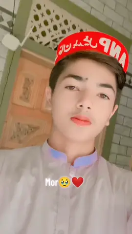 Mor #viral #anpzindabad #foryou #viralvideo#viral was so zala 