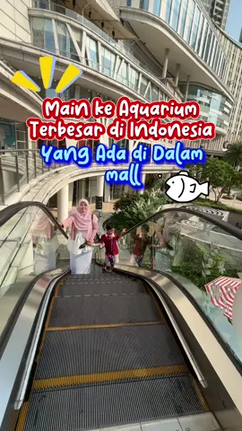 Main ke Aquarium terbesar di Indonesia yg ada di dalam mall #jelajahatraksiakhirpekan #jelajahakhirpekan #healingbarengkeluarga #jakartaaquariumsafari #tiketjakartaaquariumsafari 