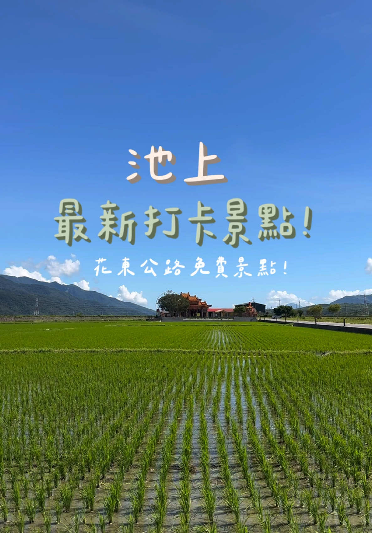 #池上景點  伯朗大道之後爆紅的新地標 「田中央土地公廟」竟然請客吃泡麵? 沒錯！近期台東池上最新爆紅景點，不是伯朗大道，而是「池上福德宮」，來拜拜還能免費享用一碗熱騰騰的平安泡麵！真的是稻田裡的驚喜🤣 更特別的是，吃完泡麵後，還有土地公咖啡可以免費泡！☕ 這一趟拜拜＋泡麵＋咖啡，實在是一趟暖心又療癒 #台東之旅  📸 這裡已經成為池上最新打卡景點，稻田環繞的景色超好拍！ 💬 你想來吃泡麵，還是先喝咖啡呢？ 👇留言告訴我你的選擇～🥰 #台東池上 #土地公 #泡麵土地公 