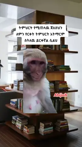 just for memes 😁