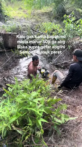 🫠🫠#petaniindonesia🇮🇩🇮🇩🇮🇩🌿🌿 #petanisawit #sawitriau #storysawit #fyp 