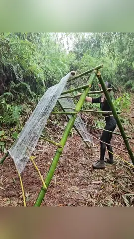 #bushcraft #camping #camp #Outdoors #survival 