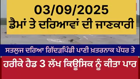 The Sutlej Gidarpindi bridge has crossed 02 lakh 03 thousand cusics. Water level is rising in both Bhakra and Pong. Pong Dam, Bhakhra, Rice, Satluj,Harike Floods 2025 Punjab 03 September 2025  #satlujriver #pongdam #pakistan #portugal  #brampton🇨🇦 