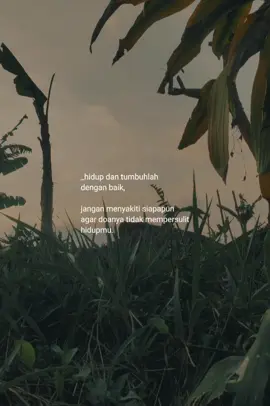 #CapCut 