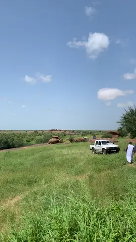 ##شعب_الصيني_ماله_حل😂😂😂😂🤦 