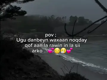 plz asxaabteeda beejka hore haleeygu qaado #mitoma🏆✨️✅️ #fybfamily️✅️️✅️ #itsmegarcade🥶🇸🇴✌️ #itsmegarcade🥶🇸🇴✌️ #itsmegarcade🥶🇸🇴✌️ @1%♥ @🌴m͜͡r͜͡ m͜͡i͜͡t͜͡o͜͡m͜͡a͜͡ 🤴 